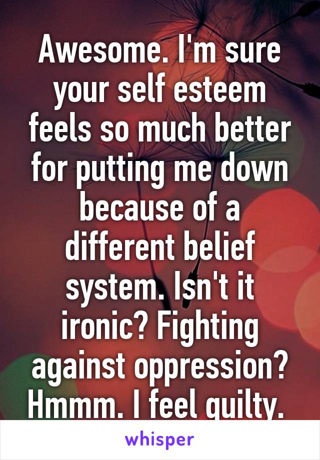 Awesome. I'm sure your self esteem feels so much better for putting me down because of a different belief system. Isn't it ironic? Fighting against oppression? Hmmm. I feel guilty. 