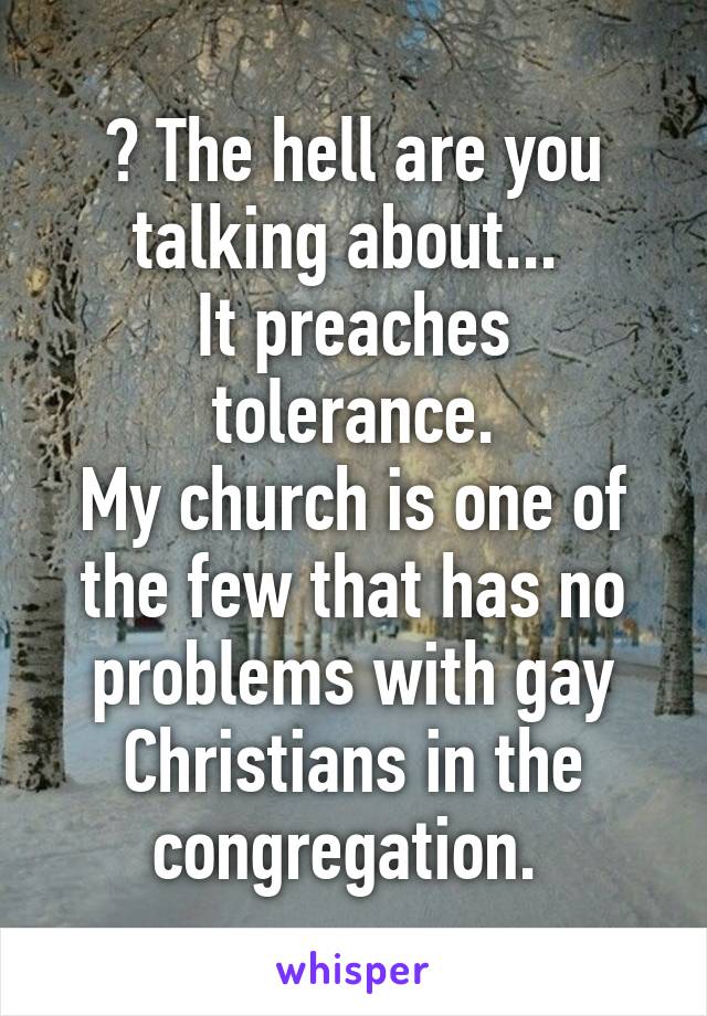 ? The hell are you talking about... 
It preaches tolerance.
My church is one of the few that has no problems with gay Christians in the congregation. 