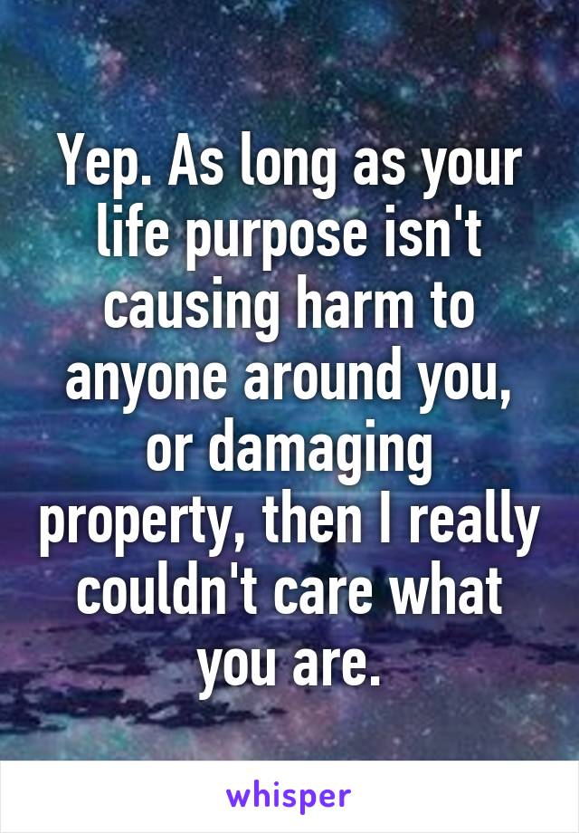 Yep. As long as your life purpose isn't causing harm to anyone around you, or damaging property, then I really couldn't care what you are.