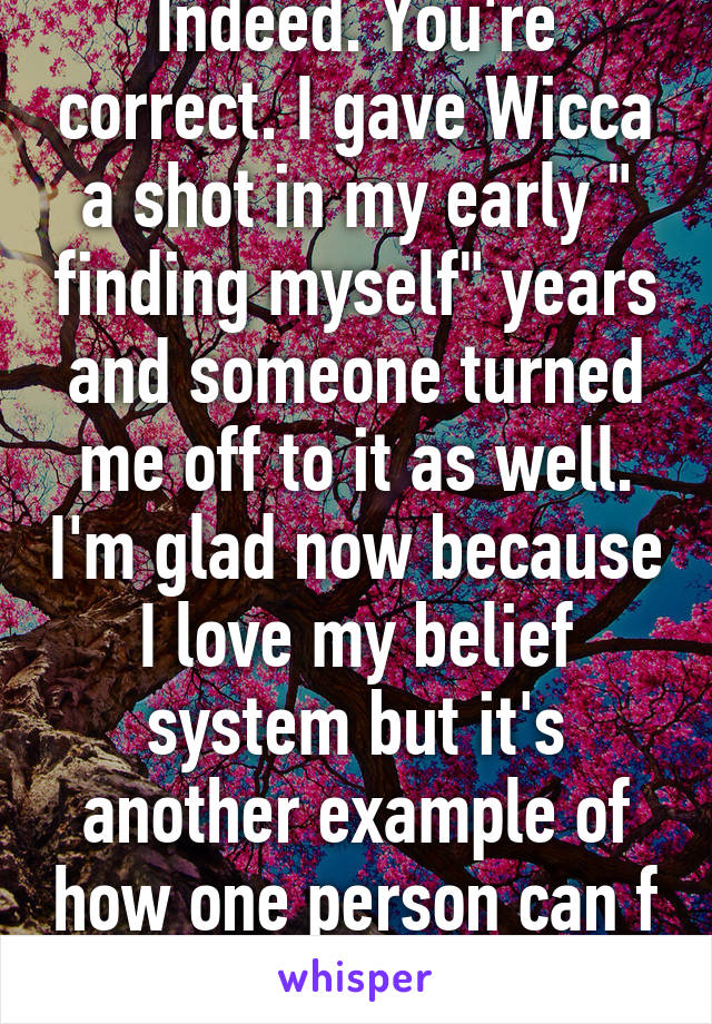 Indeed. You're correct. I gave Wicca a shot in my early " finding myself" years and someone turned me off to it as well. I'm glad now because I love my belief system but it's another example of how one person can f up