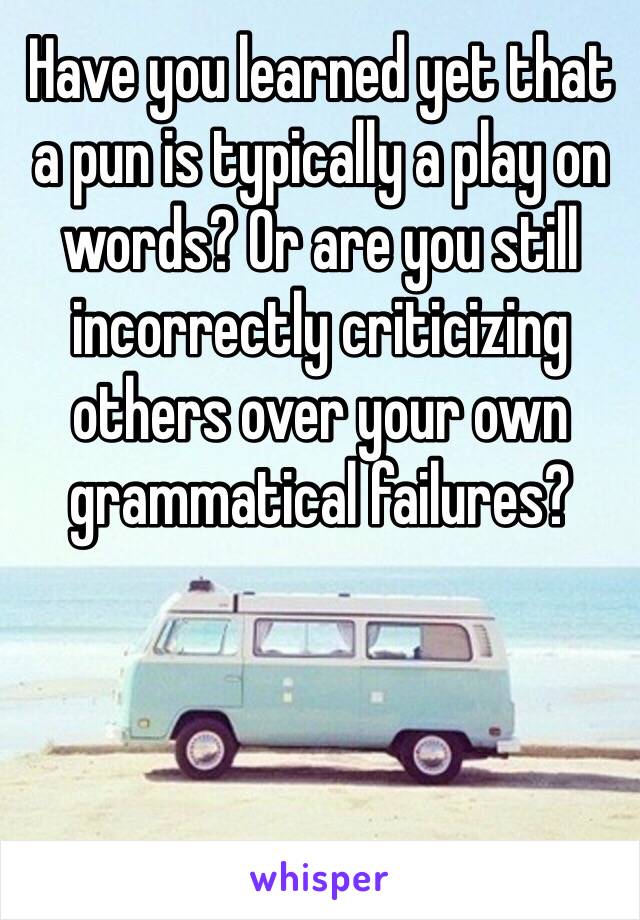 Have you learned yet that a pun is typically a play on words? Or are you still incorrectly criticizing others over your own grammatical failures?