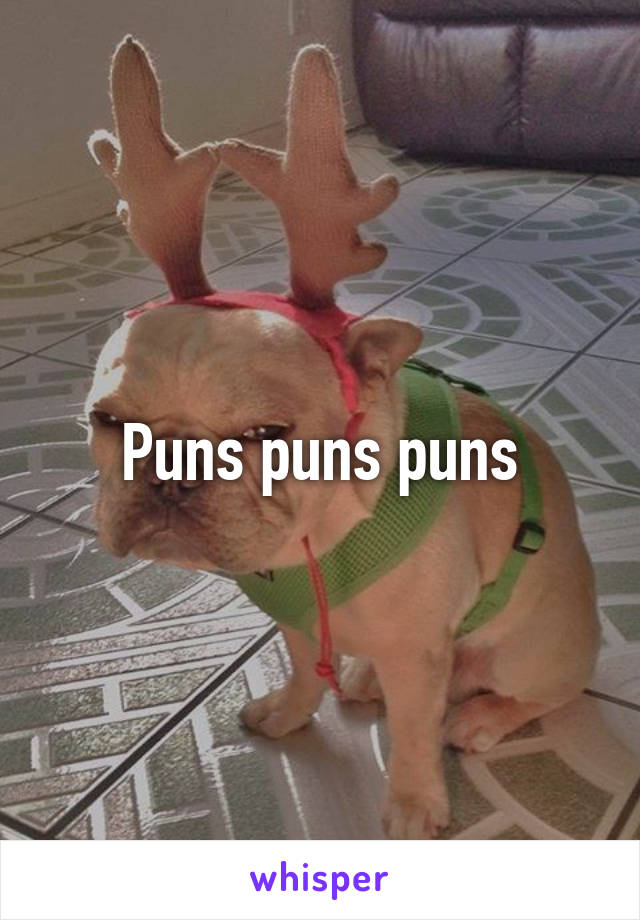 Puns puns puns