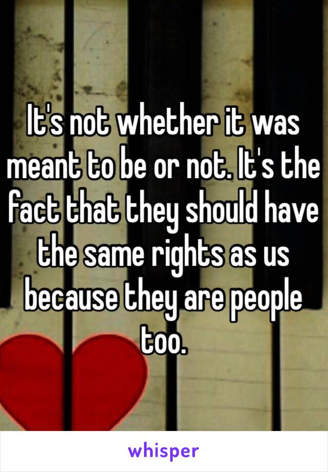 It's not whether it was meant to be or not. It's the fact that they should have the same rights as us because they are people too.