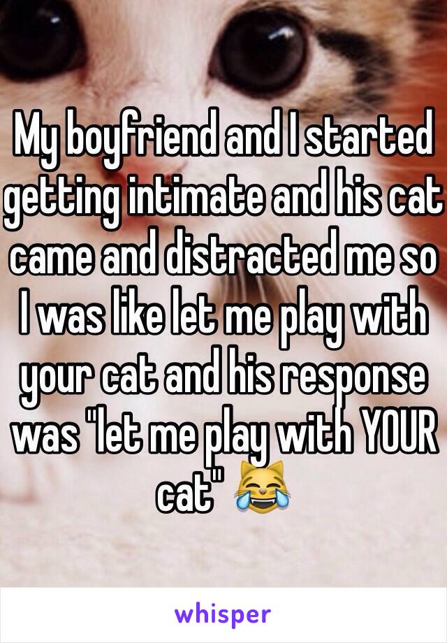 My boyfriend and I started getting intimate and his cat came and distracted me so I was like let me play with your cat and his response was "let me play with YOUR cat" 😹