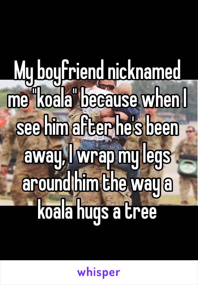  My boyfriend nicknamed me "koala" because when I see him after he's been away, I wrap my legs around him the way a koala hugs a tree 