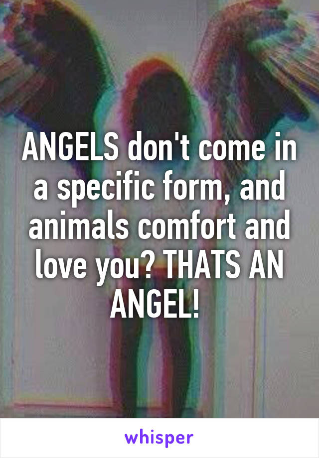 ANGELS don't come in a specific form, and animals comfort and love you? THATS AN ANGEL! 