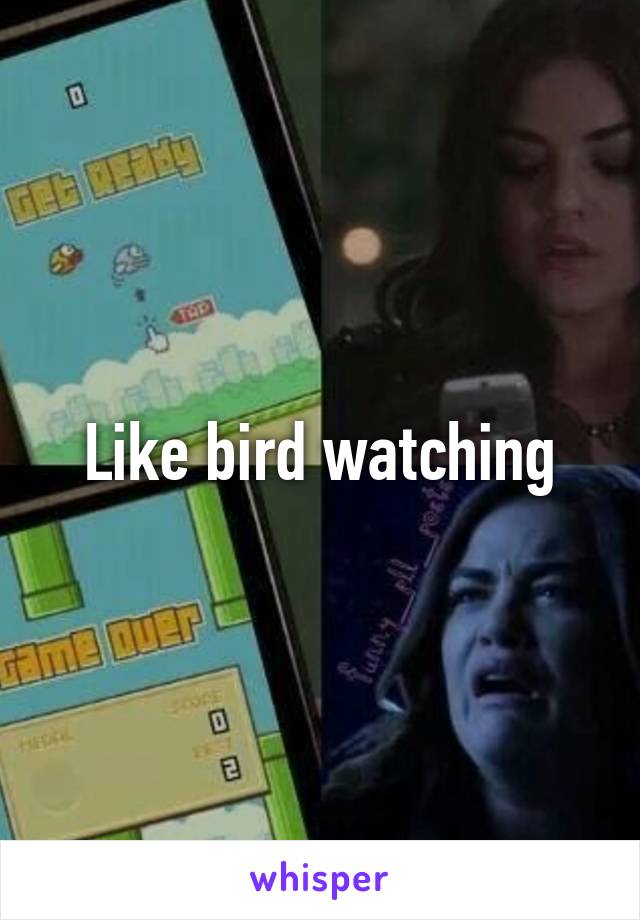 Like bird watching