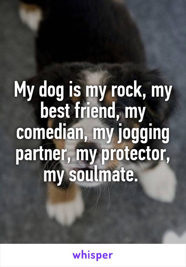 My dog is my rock, my best friend, my comedian, my jogging partner, my protector, my soulmate. 