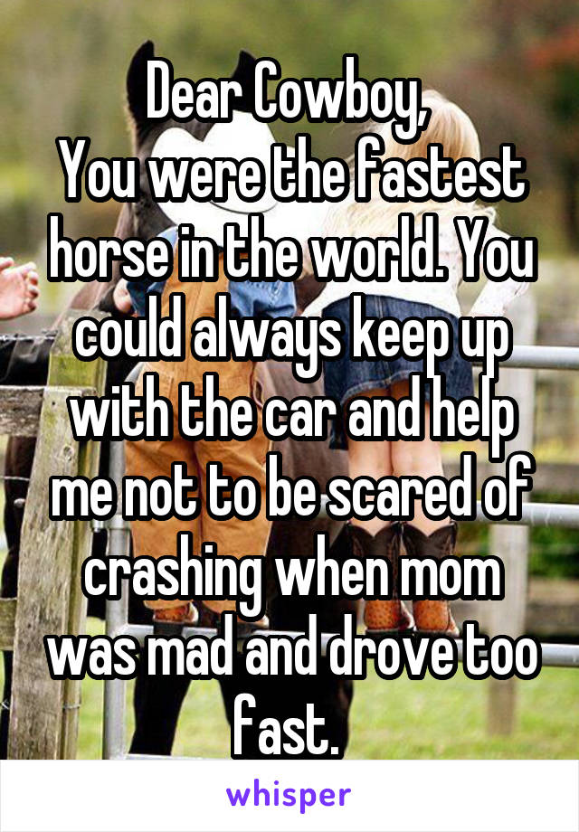 Dear Cowboy, 
You were the fastest horse in the world. You could always keep up with the car and help me not to be scared of crashing when mom was mad and drove too fast. 