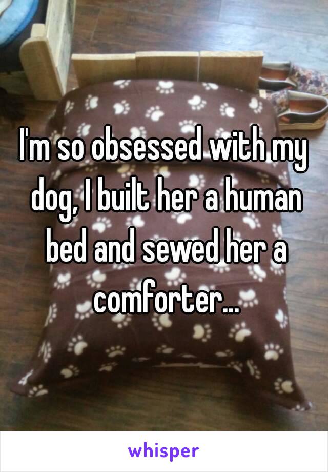 I'm so obsessed with my dog, I built her a human bed and sewed her a comforter...