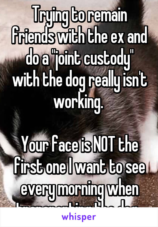 Trying to remain friends with the ex and do a "joint custody" with the dog really isn't working. 

Your face is NOT the first one I want to see every morning when transporting the dog. 