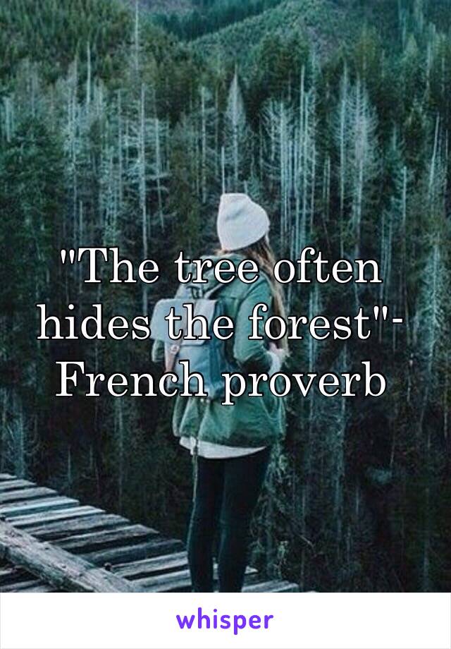 "The tree often hides the forest"-French proverb 