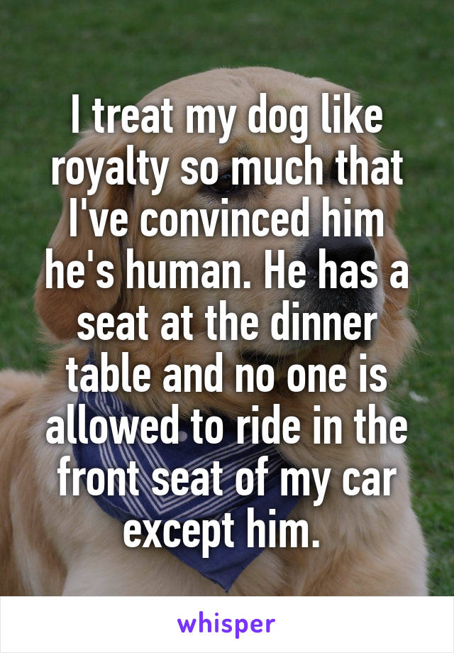 I treat my dog like royalty so much that I've convinced him he's human. He has a seat at the dinner table and no one is allowed to ride in the front seat of my car except him. 