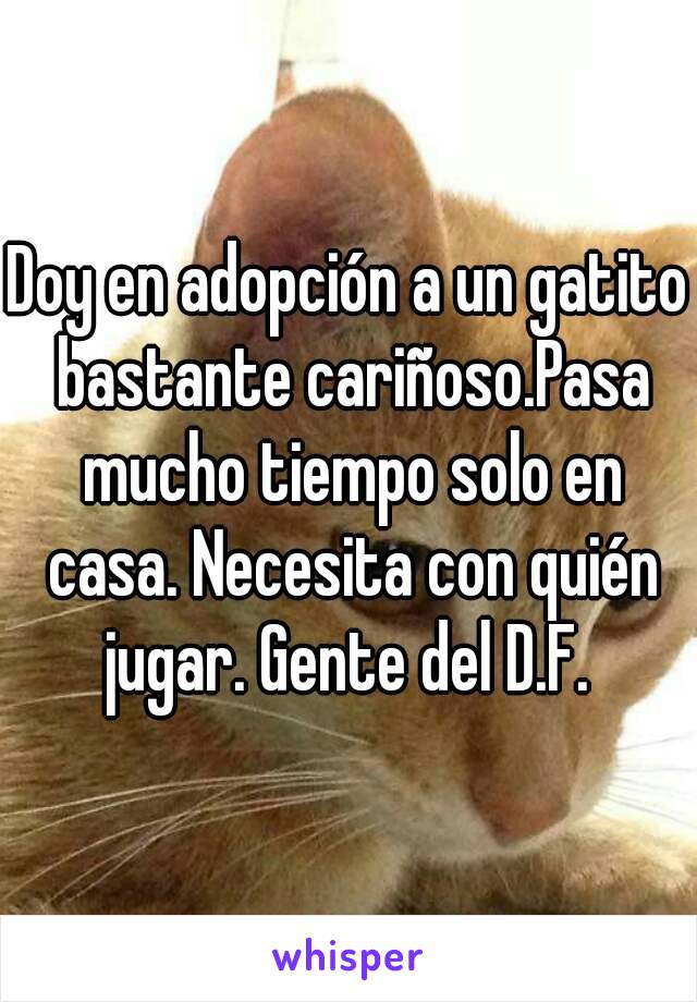 Doy en adopción a un gatito bastante cariñoso.Pasa mucho tiempo solo en casa. Necesita con quién jugar. Gente del D.F. 