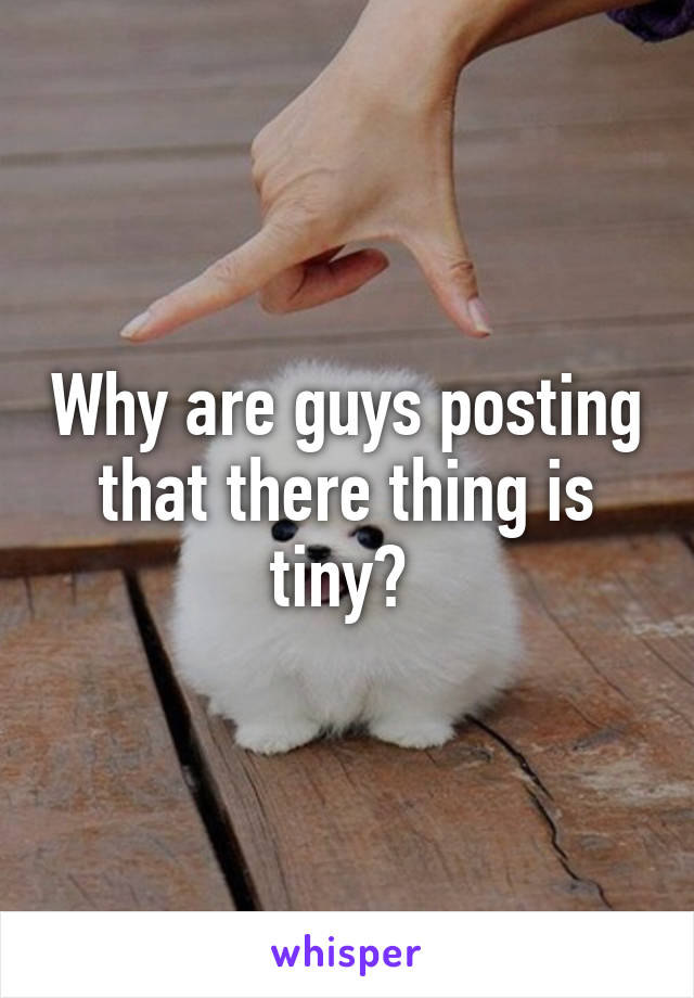 Why are guys posting that there thing is tiny? 