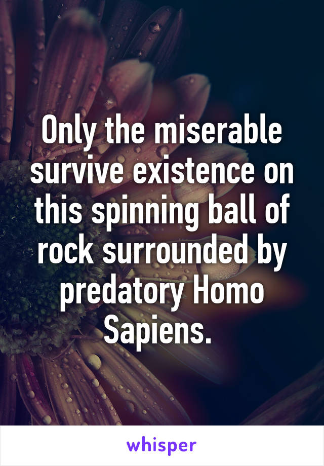 Only the miserable survive existence on this spinning ball of rock surrounded by predatory Homo Sapiens. 