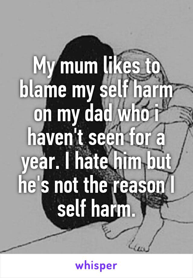 My mum likes to blame my self harm on my dad who i haven't seen for a year. I hate him but he's not the reason I self harm.