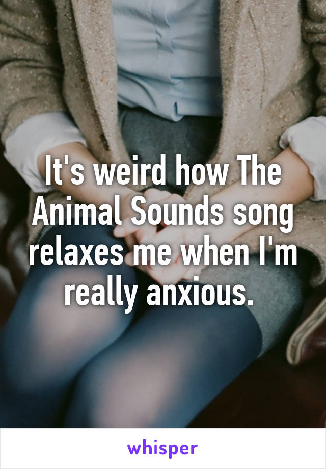It's weird how The Animal Sounds song relaxes me when I'm really anxious. 
