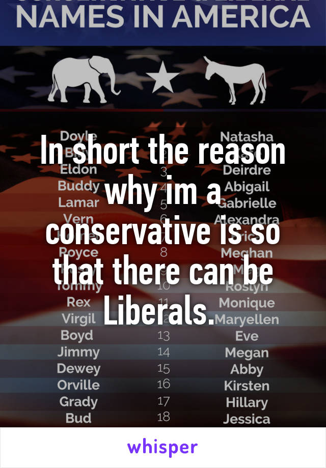 In short the reason why im a conservative is so that there can be Liberals. 