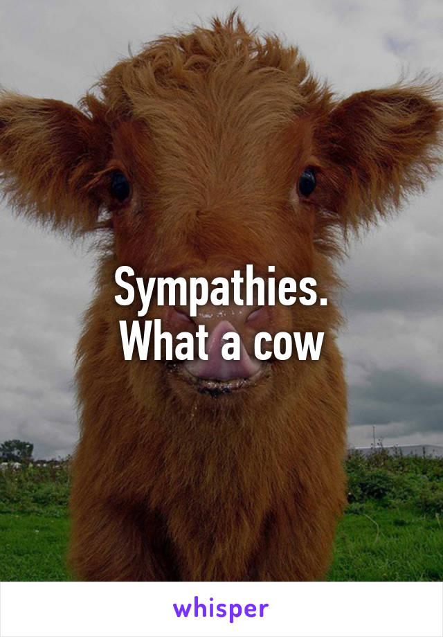 Sympathies.
What a cow