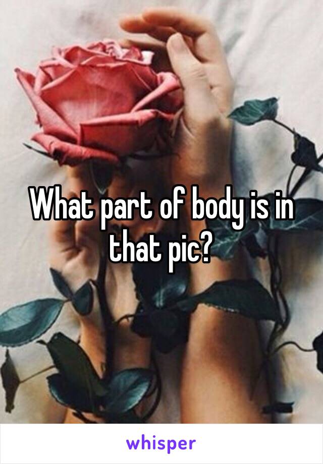 What part of body is in that pic?