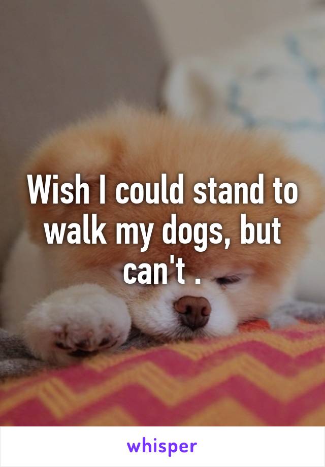 Wish I could stand to walk my dogs, but can't .