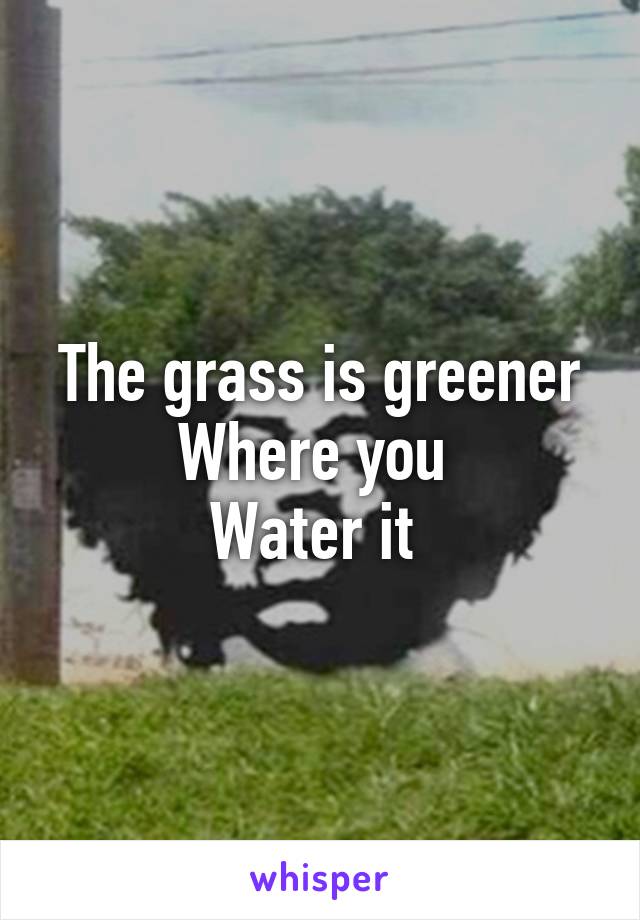 The grass is greener
Where you 
Water it 