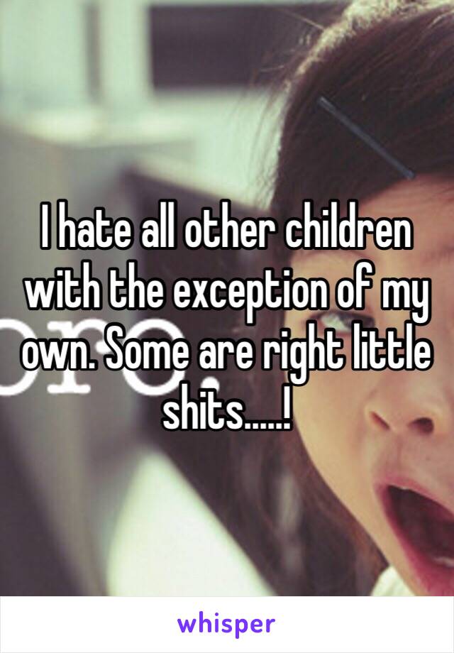 I hate all other children with the exception of my own. Some are right little shits.....!