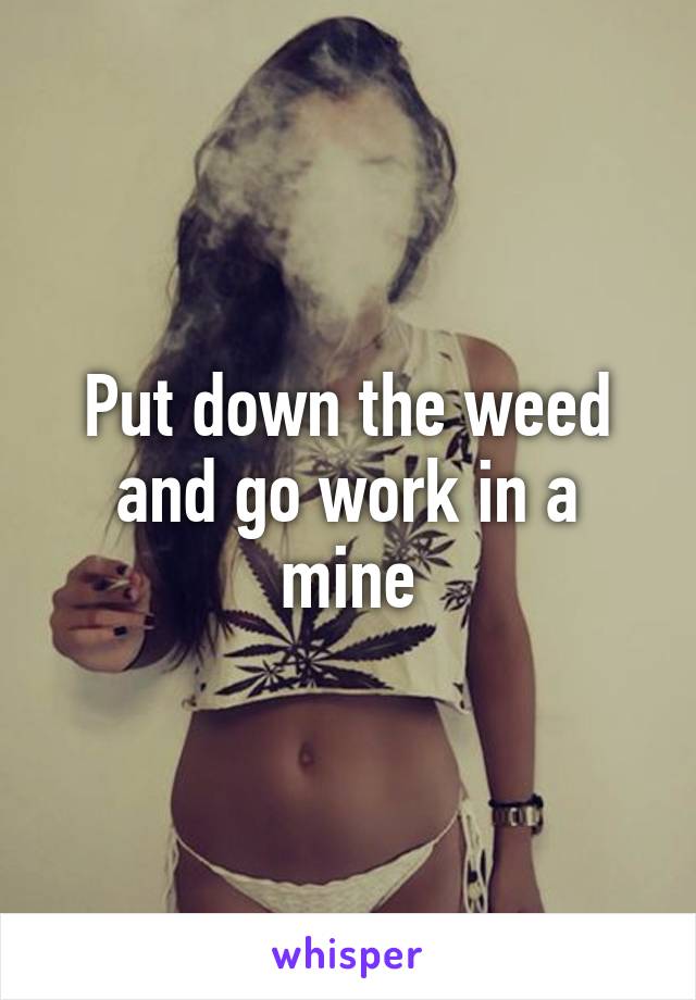 Put down the weed and go work in a mine