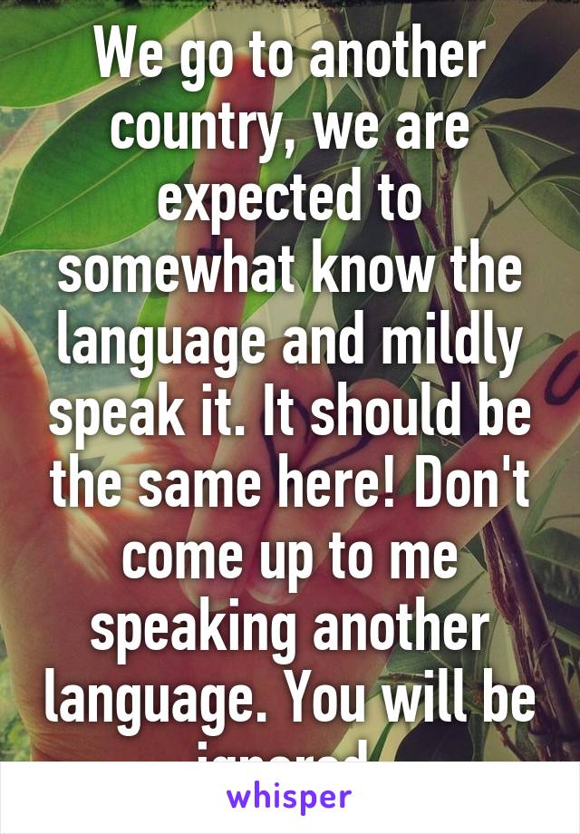 We go to another country, we are expected to somewhat know the language and mildly speak it. It should be the same here! Don't come up to me speaking another language. You will be ignored.