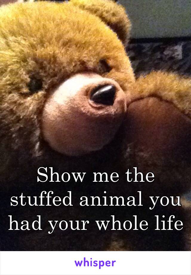 Show me the stuffed animal you had your whole life