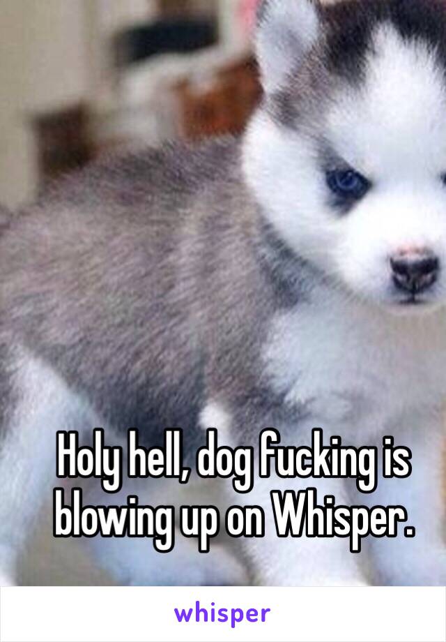 Holy hell, dog fucking is blowing up on Whisper. 