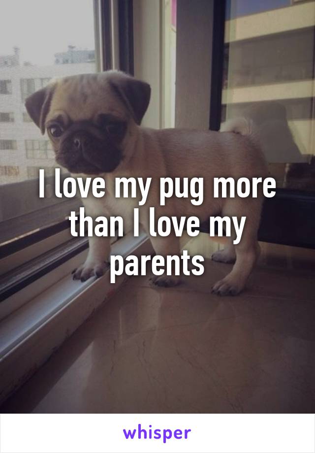 I love my pug more than I love my parents