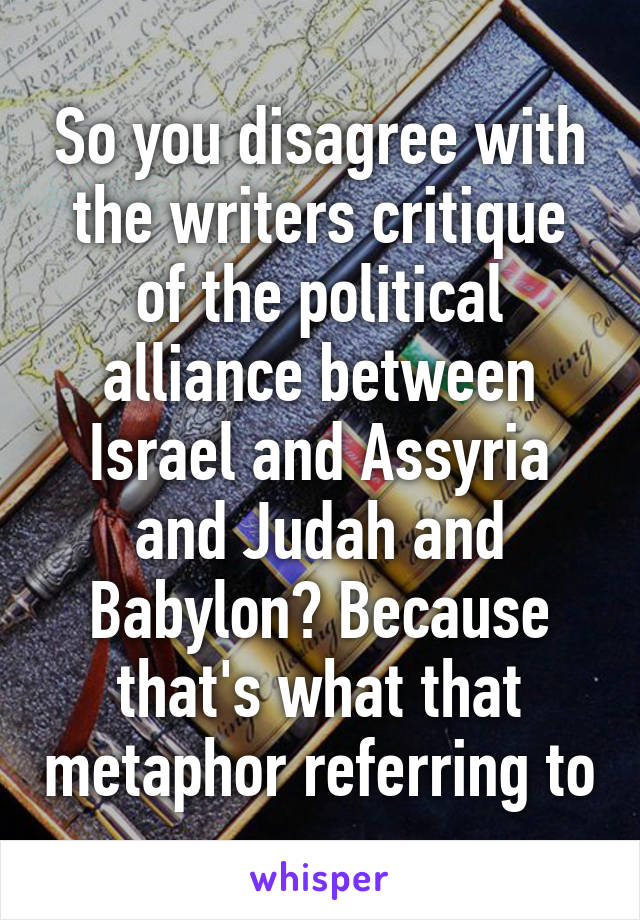 So you disagree with the writers critique of the political alliance between Israel and Assyria and Judah and Babylon? Because that's what that metaphor referring to