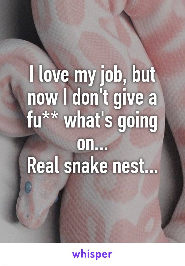 I love my job, but now I don't give a fu** what's going on...
Real snake nest...
