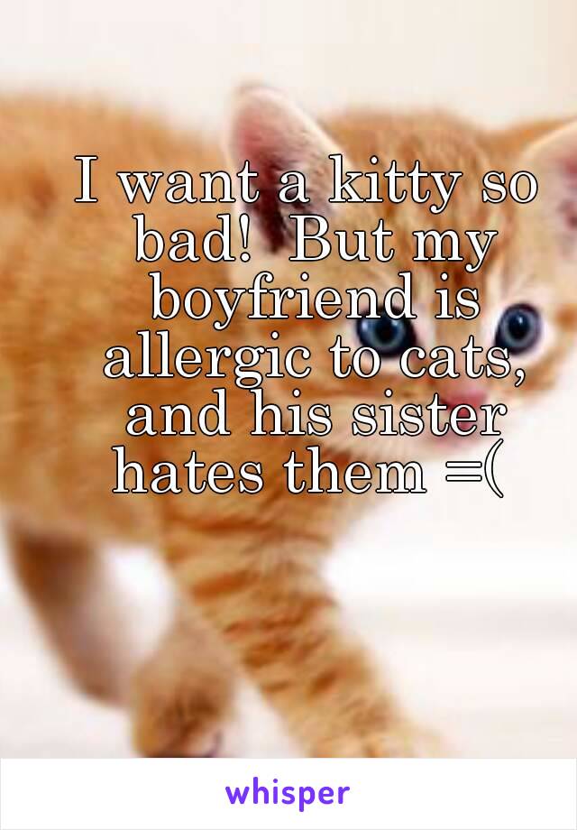 I want a kitty so bad!  But my boyfriend is allergic to cats, and his sister hates them =( 