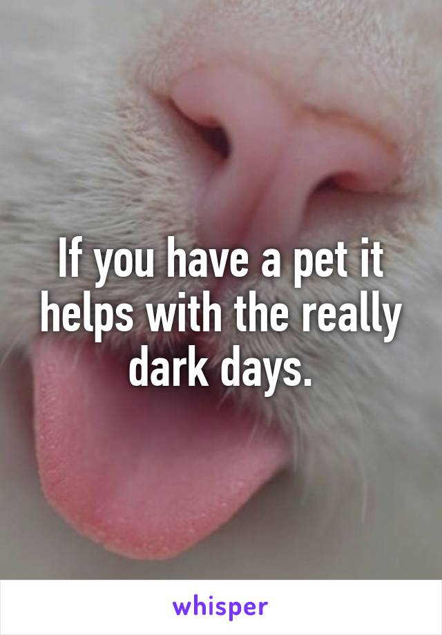 If you have a pet it helps with the really dark days.