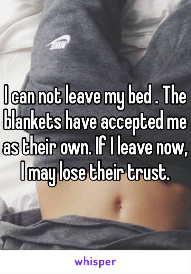 I can not leave my bed . The blankets have accepted me as their own. If I leave now, I may lose their trust.