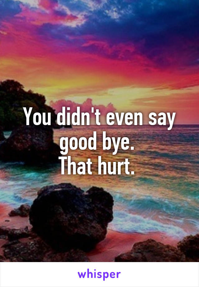 You didn't even say good bye. 
That hurt. 