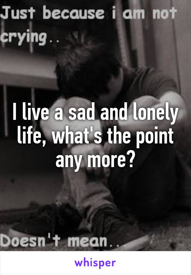 I live a sad and lonely life, what's the point any more?