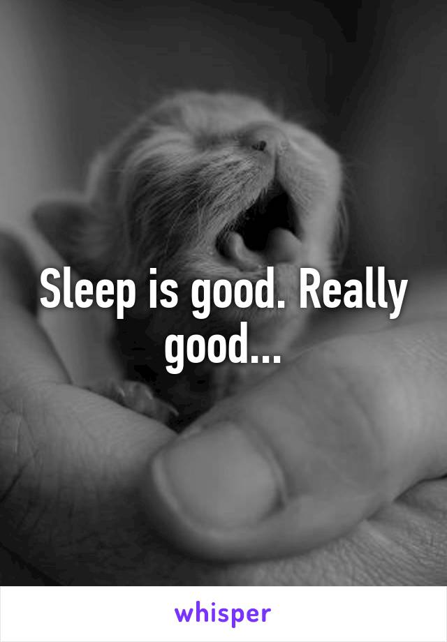 Sleep is good. Really good...