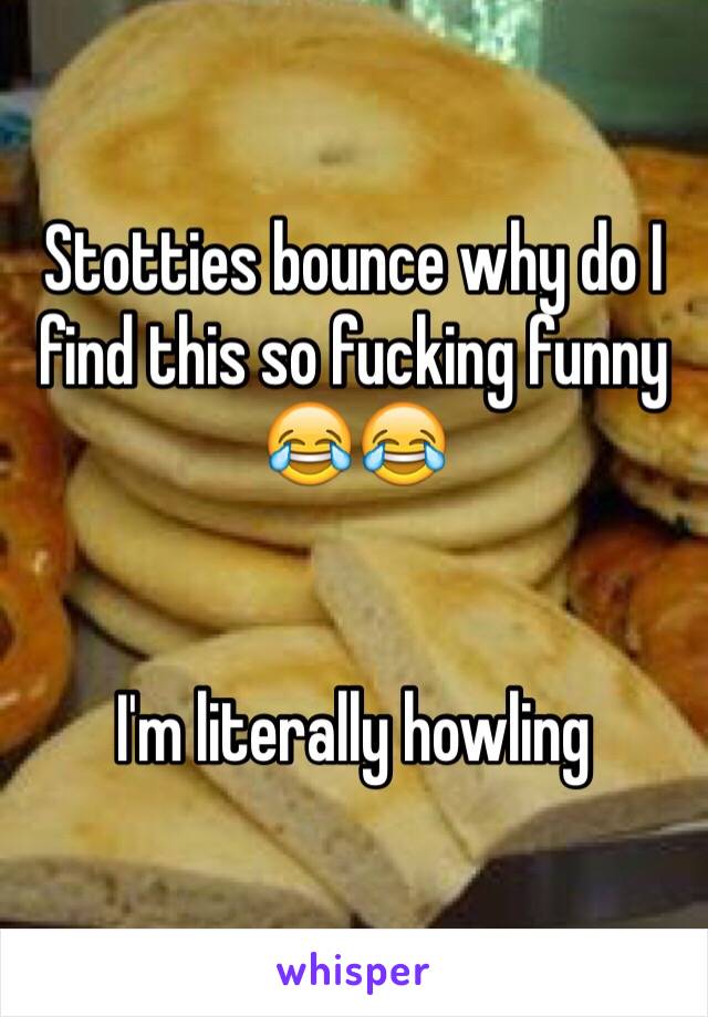 Stotties bounce why do I find this so fucking funny 😂😂


I'm literally howling