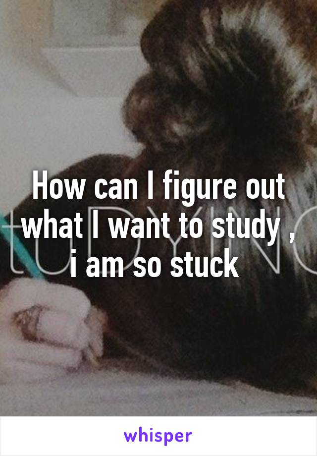 How can I figure out what I want to study , i am so stuck 