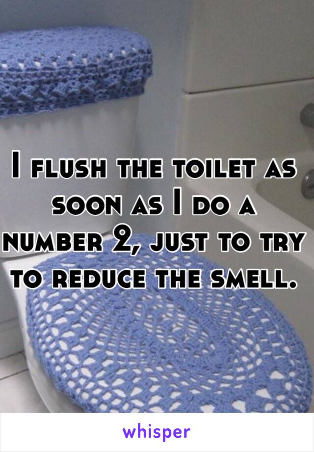 I flush the toilet as soon as I do a number 2, just to try to reduce the smell.