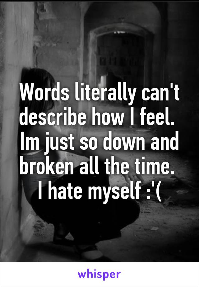 Words literally can't describe how I feel. 
Im just so down and broken all the time. 
I hate myself :'(