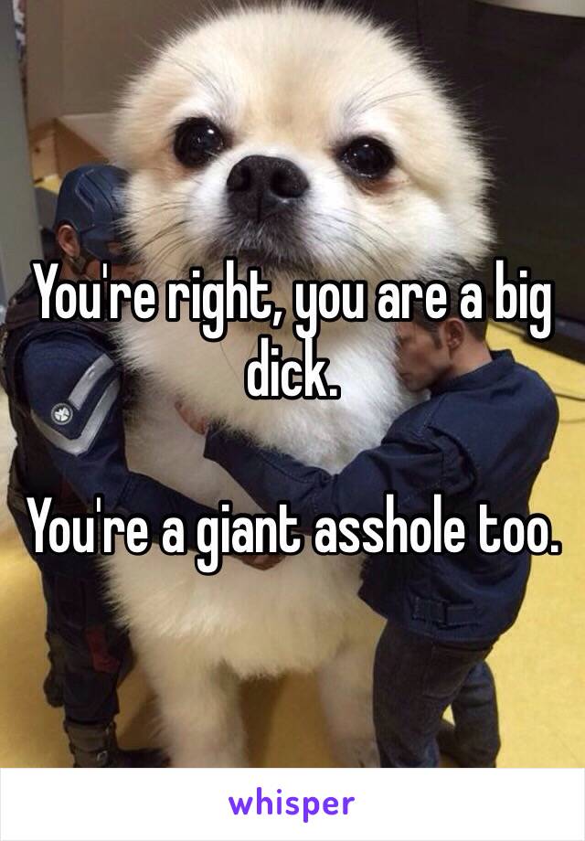 You're right, you are a big dick.

You're a giant asshole too.