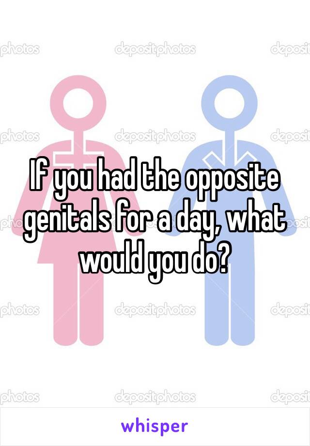 If you had the opposite genitals for a day, what would you do? 