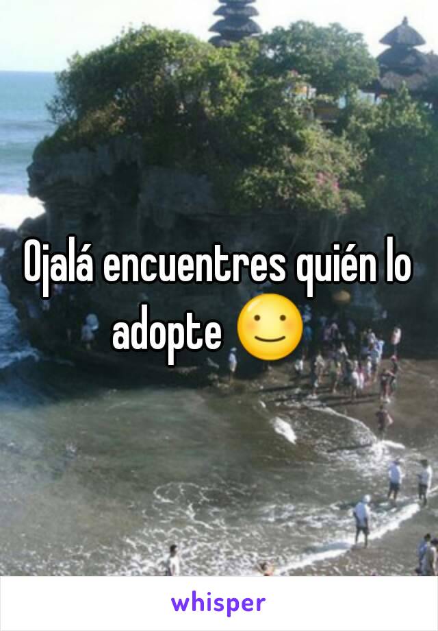 Ojalá encuentres quién lo adopte ☺   