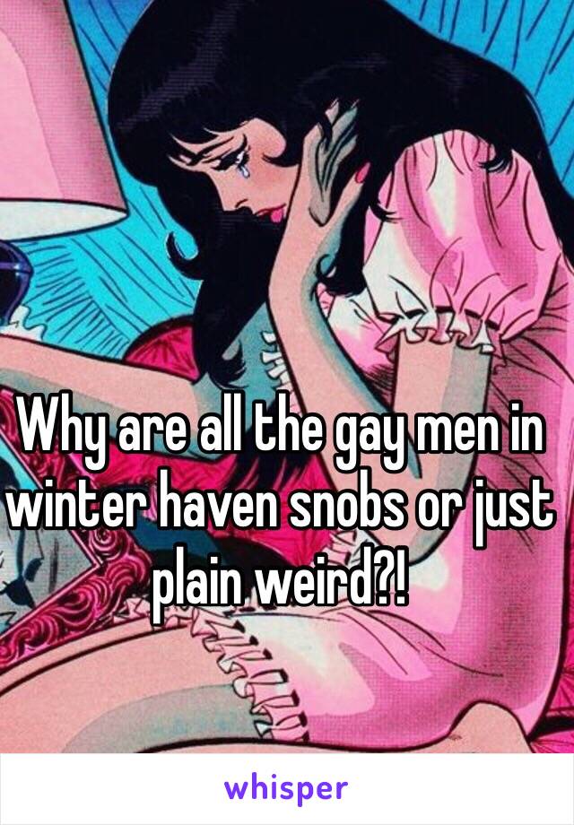 Why are all the gay men in winter haven snobs or just plain weird?!