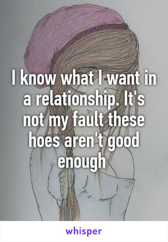 I know what I want in a relationship. It's not my fault these hoes aren't good enough 